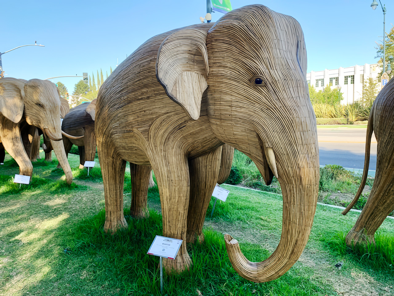 The Great Elephant Migration